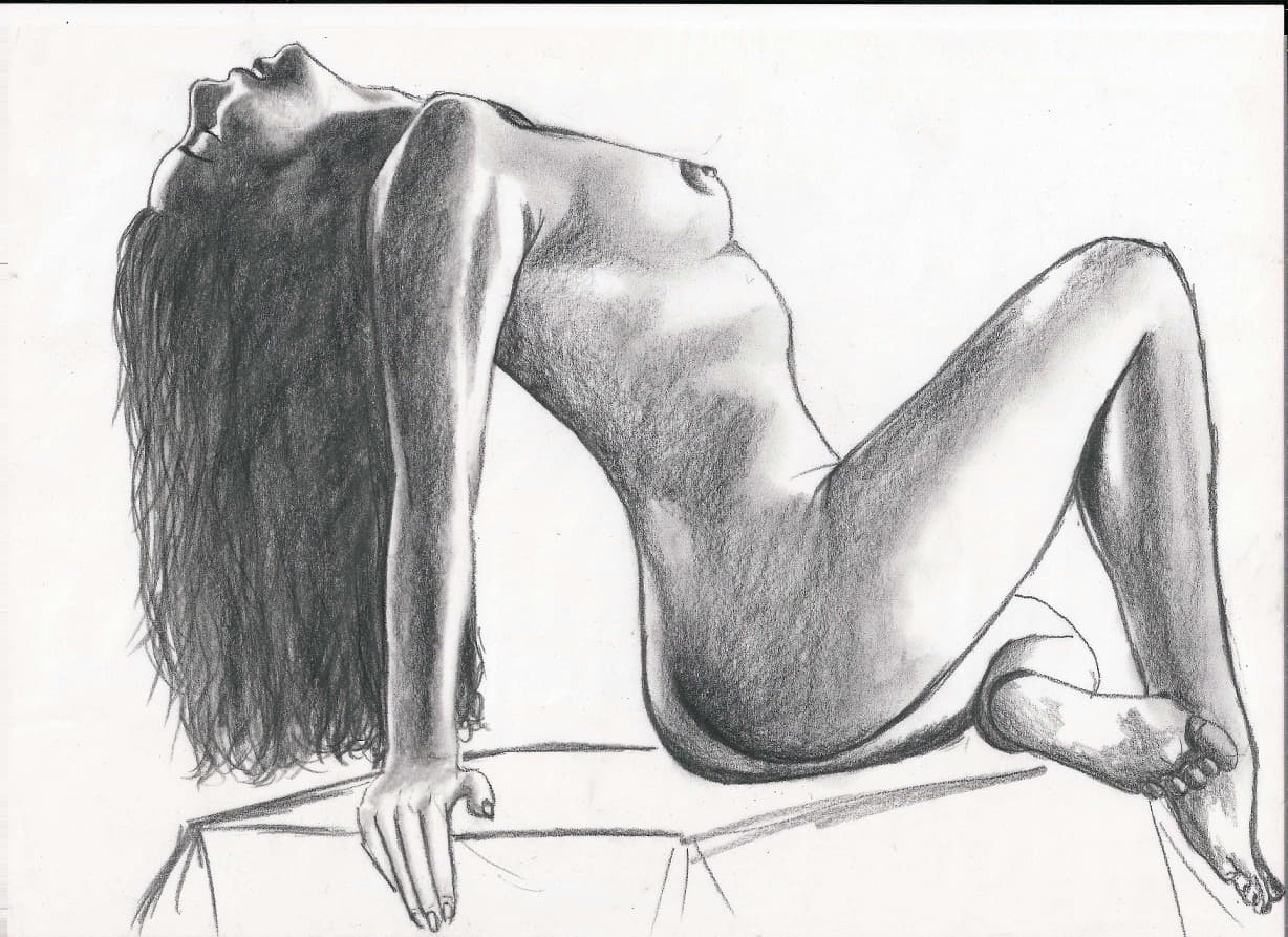 Cover Image for Vinte Curiosidades Sobre a Nudez